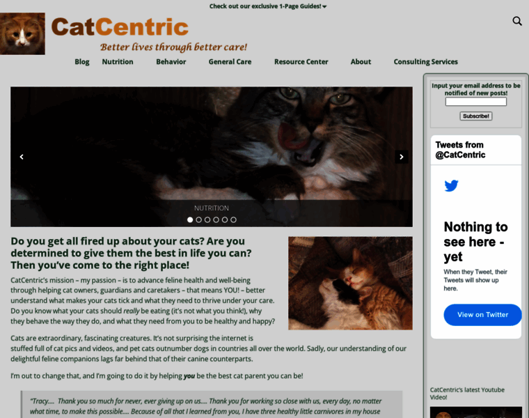 Catcentric.org thumbnail