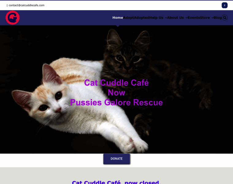 Catcuddlecafe.com thumbnail