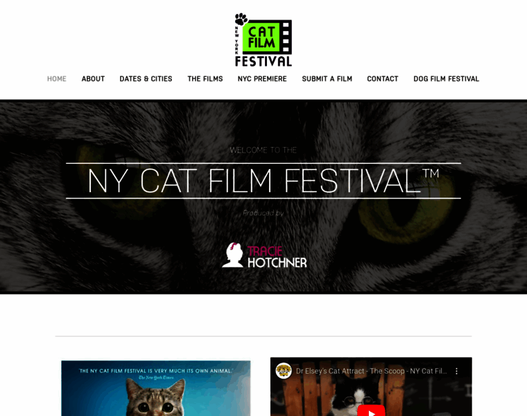 Catfilmfestival.com thumbnail