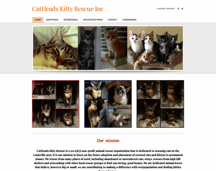 Catheadskittyrescue.org thumbnail