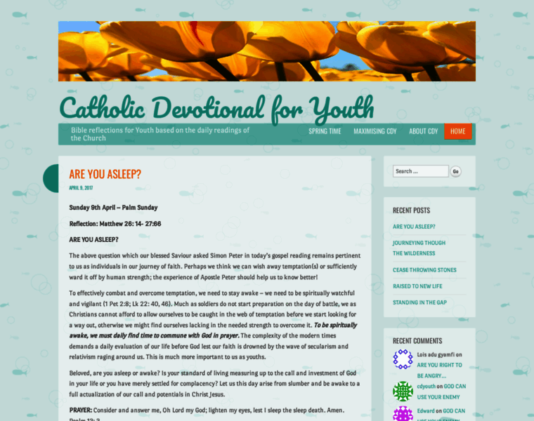 Catholicdevotionalforyouth.wordpress.com thumbnail