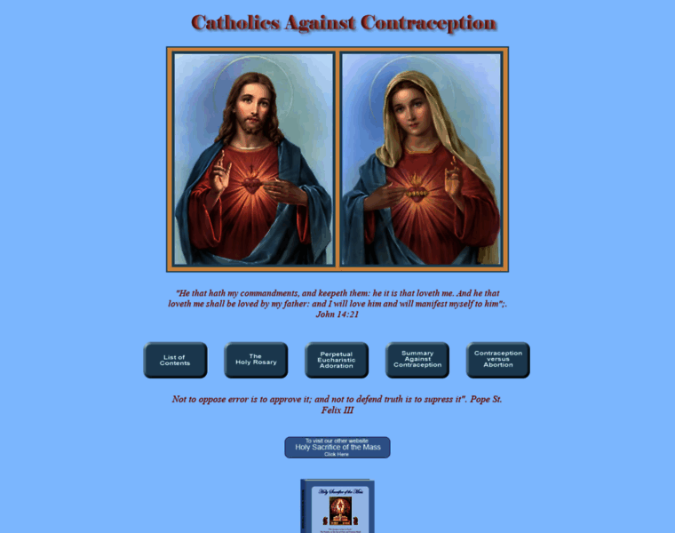 Catholicsagainstcontraception.com thumbnail