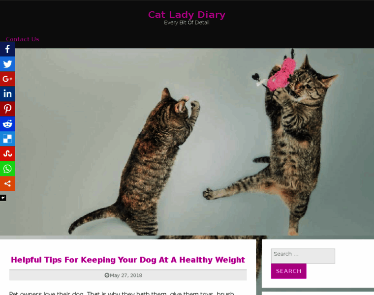 Catladydiary.com thumbnail