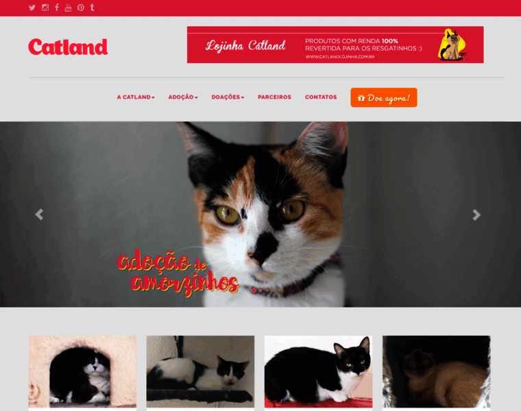 Catland.org.br thumbnail