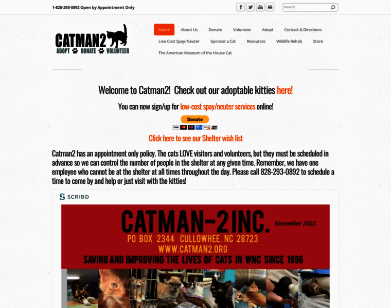 Catman2.org thumbnail