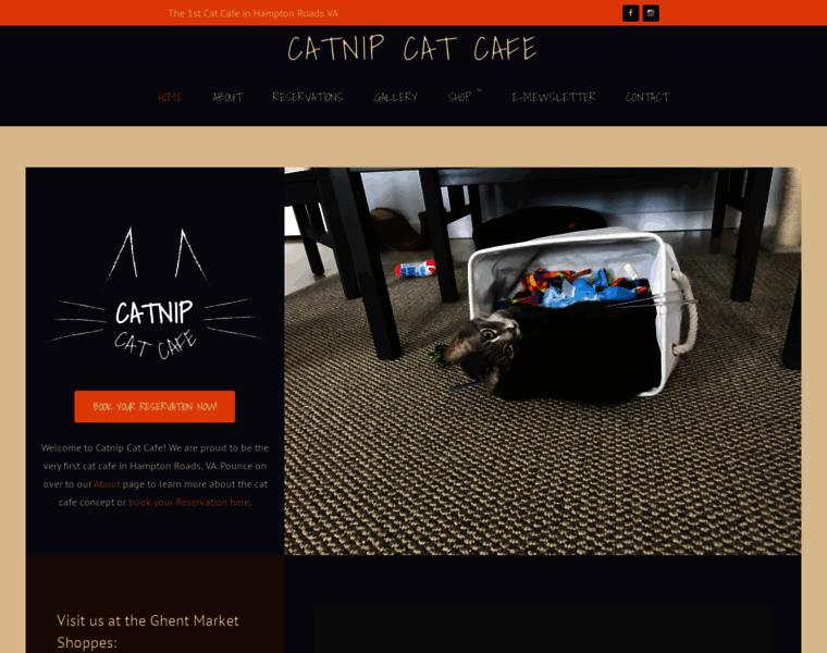 Catnipcatcafe.com thumbnail