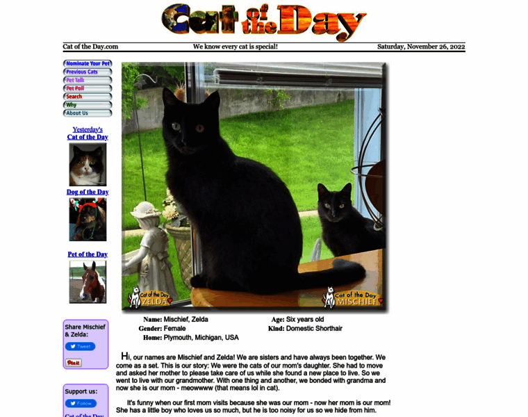 Catoftheday.com thumbnail