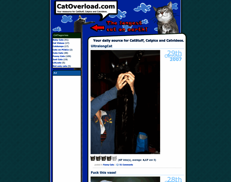 Catoverload.com thumbnail