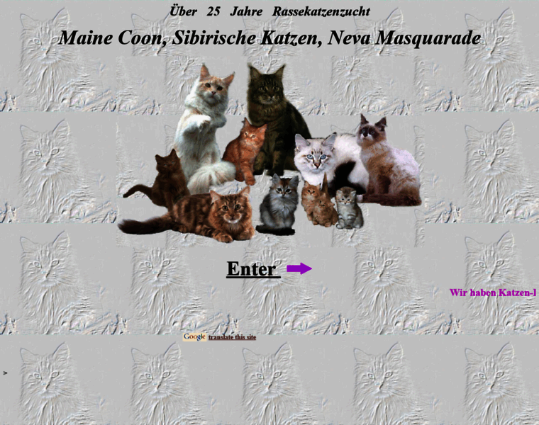 Cats-online.org thumbnail