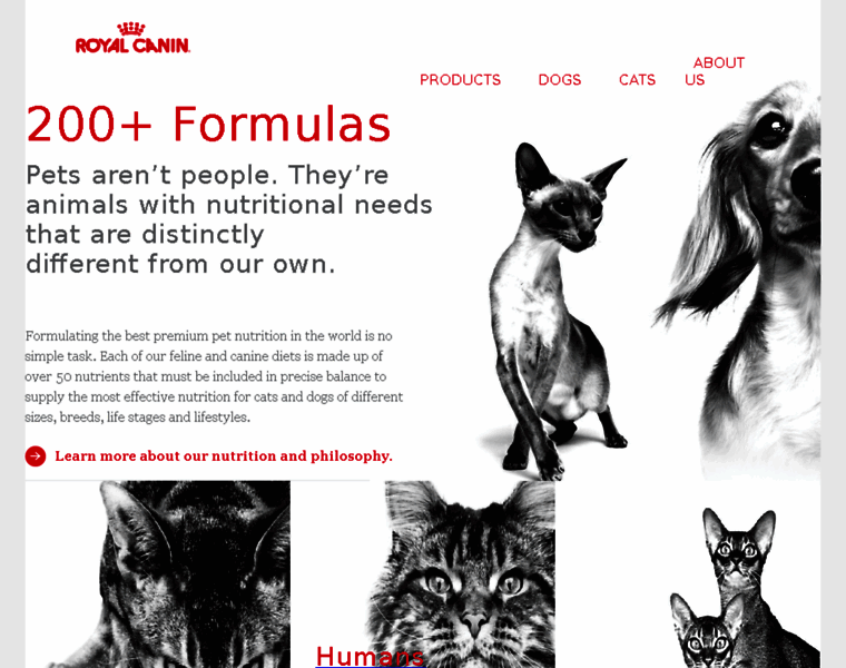 Cats.royalcanin.com thumbnail