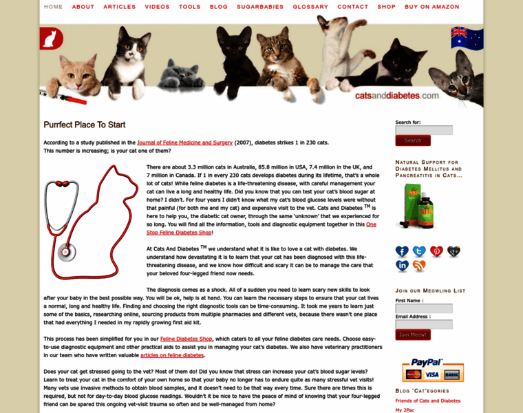 Catsanddiabetes.com thumbnail