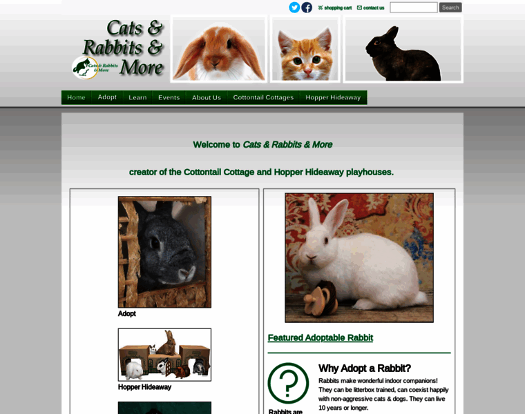 Catsandrabbitsandmore.com thumbnail