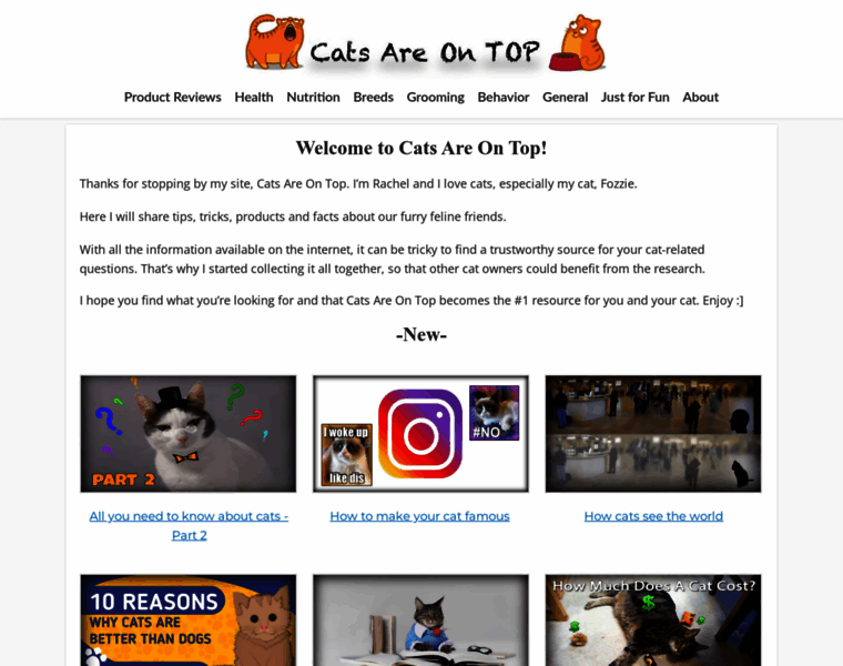 Catsareontop.com thumbnail