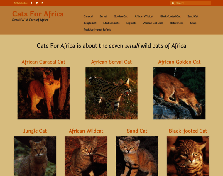 Catsforafrica.co.za thumbnail