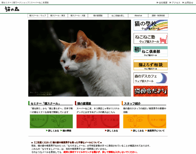 Catsitter.jp thumbnail