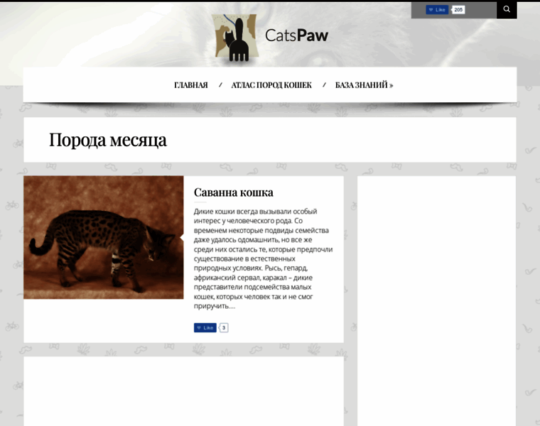 Catspaw.ru thumbnail