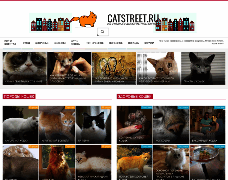 Catstreet.ru thumbnail