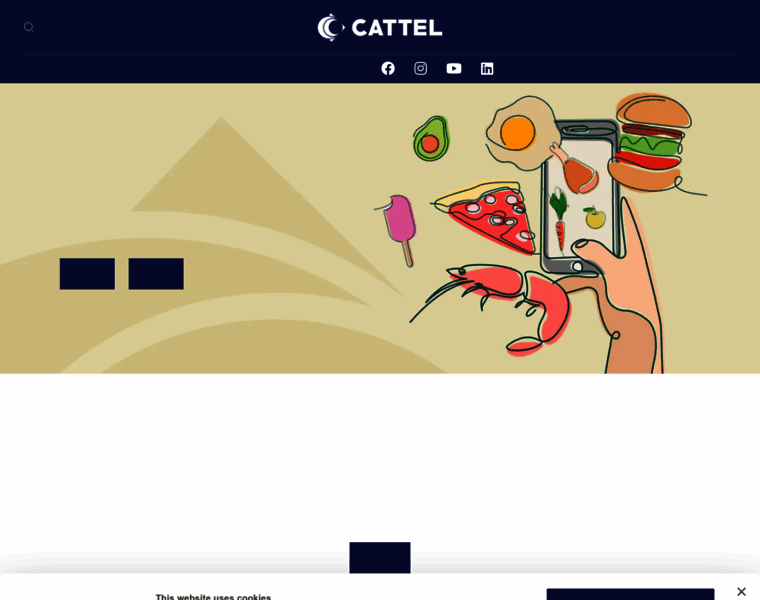 Cattelcatering.it thumbnail