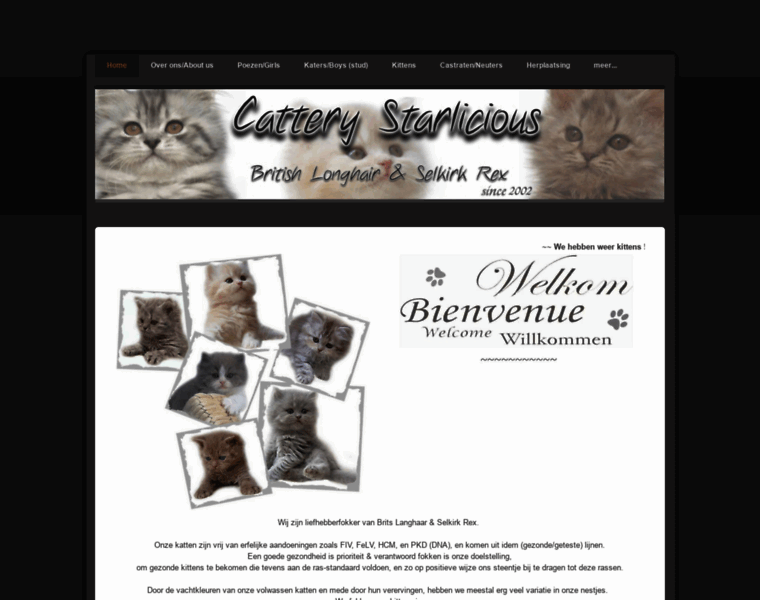 Cattery-starlicious.be thumbnail