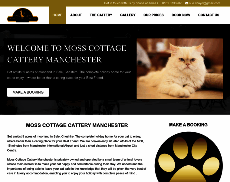 Catteryinmanchester.co.uk thumbnail