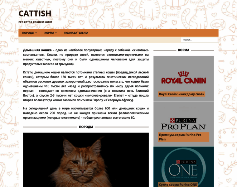 Cattish.ru thumbnail