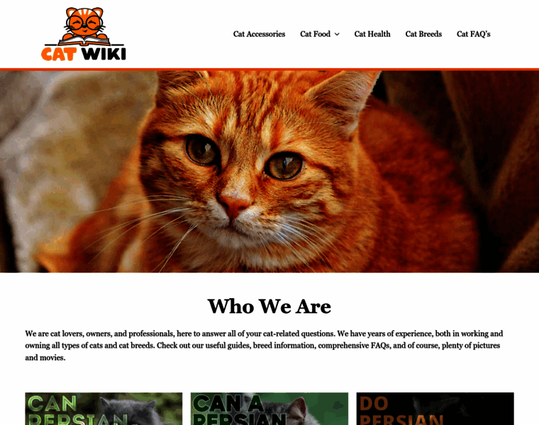 Catwiki.com thumbnail
