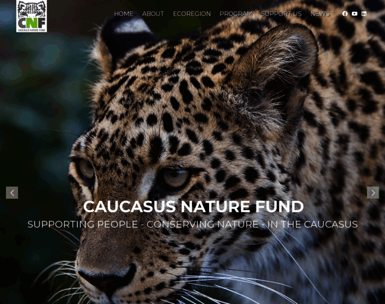 Caucasus-naturefund.org thumbnail