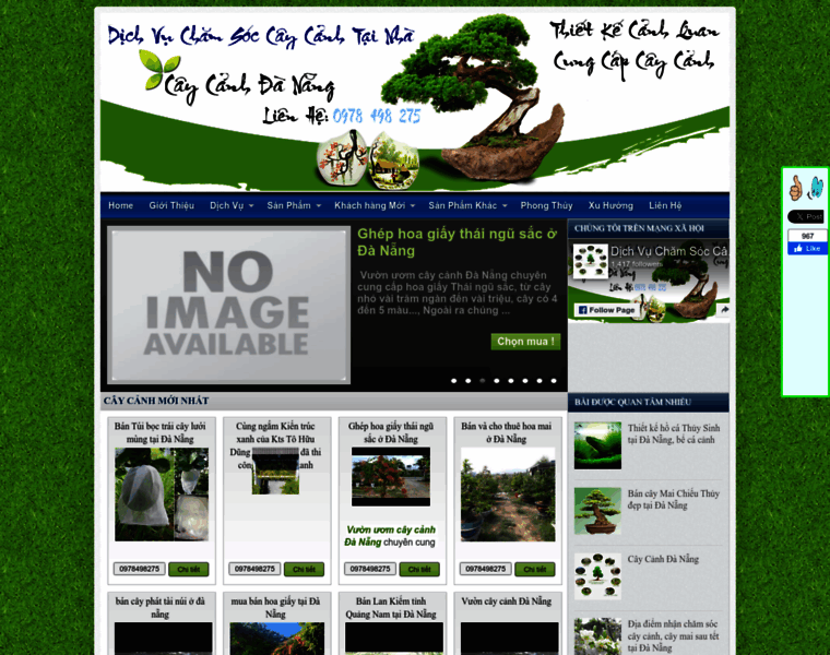 Caycanhdanang.com thumbnail