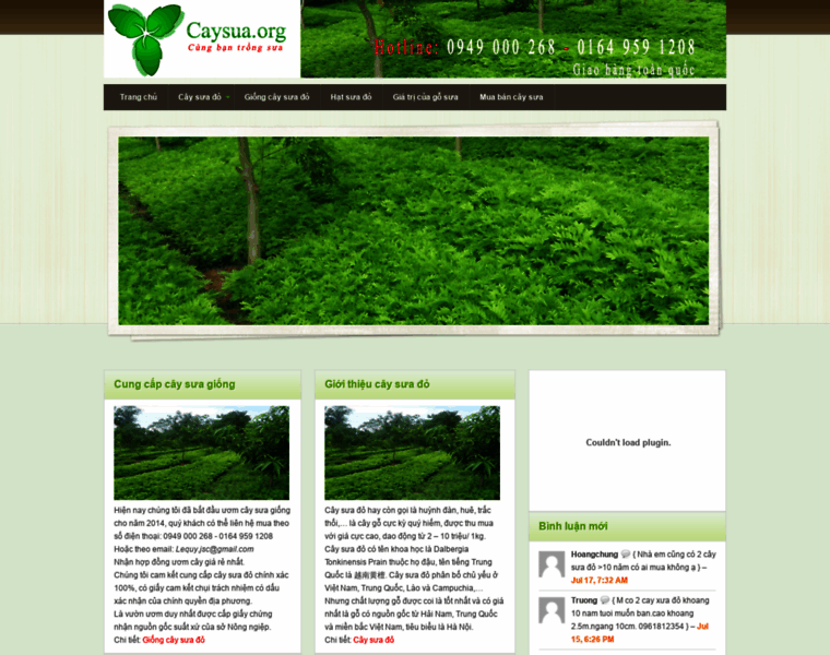 Caysua.org thumbnail