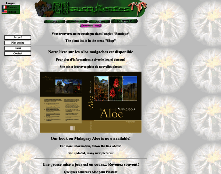 Cb-succulentes.com thumbnail