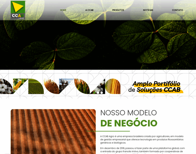 Ccab-agro.com.br thumbnail