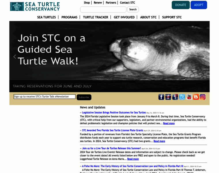 Cccturtle.org thumbnail