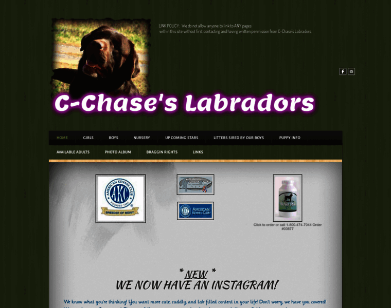 Cchaseslabs.com thumbnail