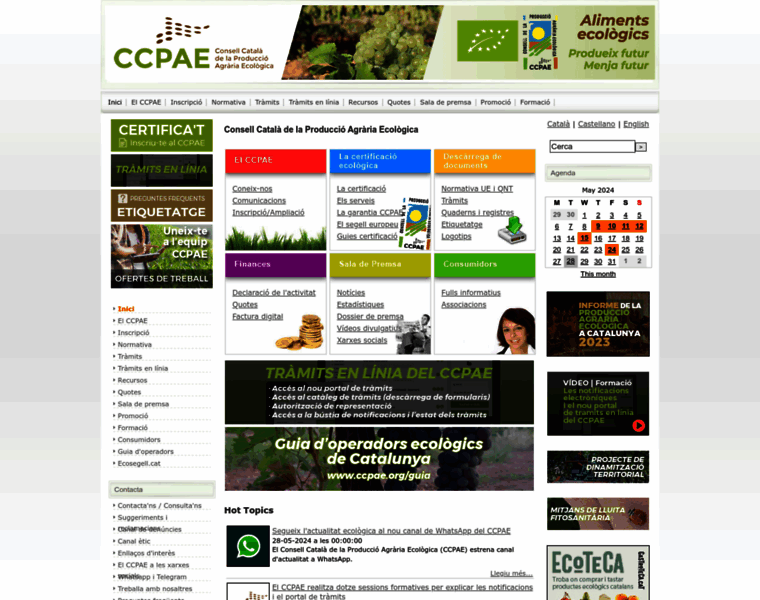 Ccpae.org thumbnail