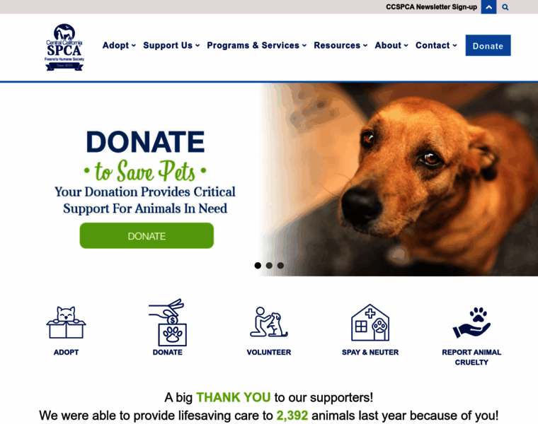 Ccspca.com thumbnail Ccspca.com thumbnail