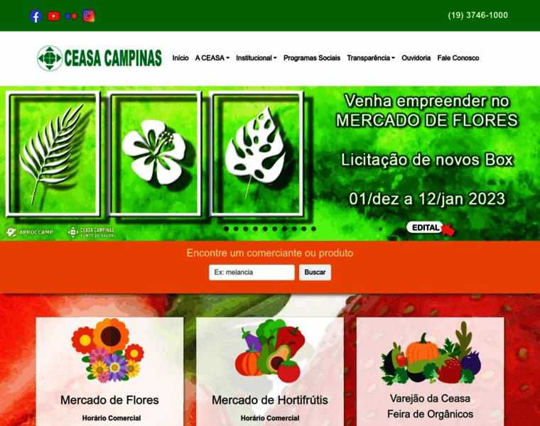 Ceasacampinas.com.br thumbnail