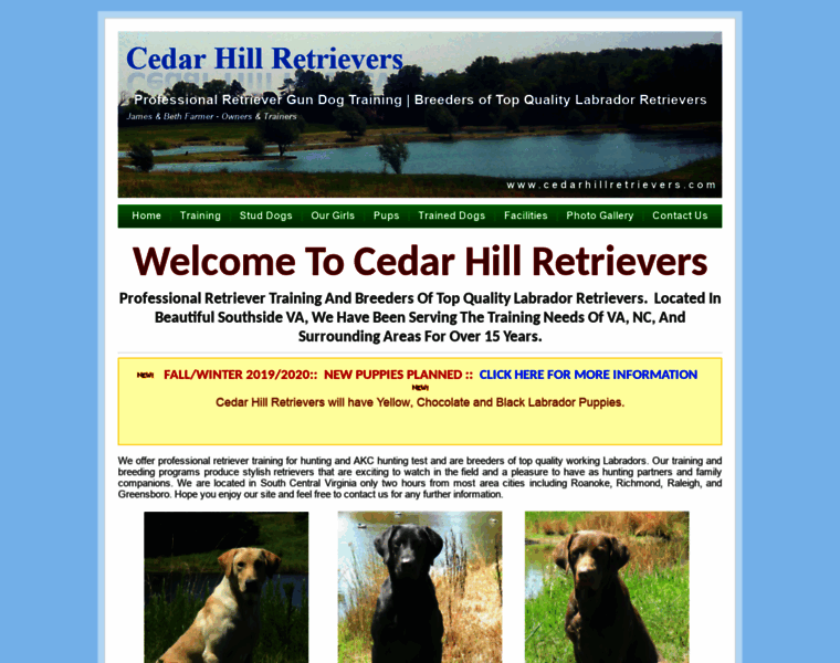 Cedarhillretrievers.com thumbnail