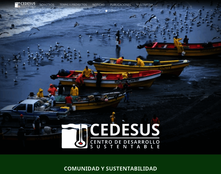 Cedesus.cl thumbnail