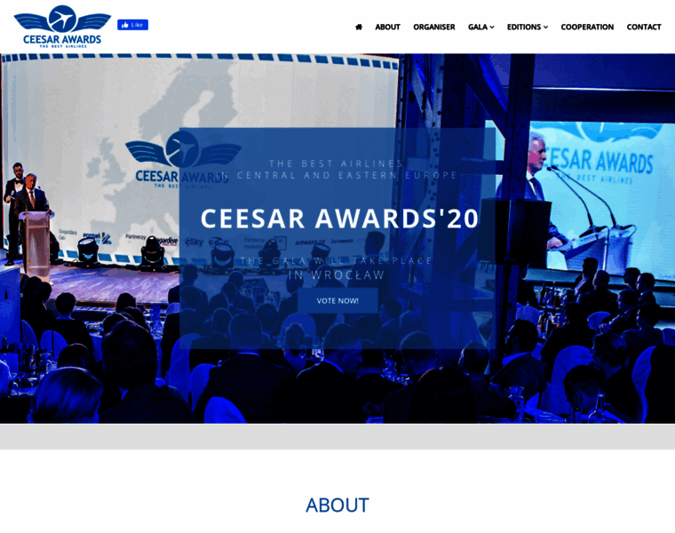 Ceesar-awards.com thumbnail