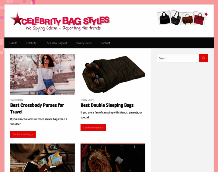Celebritybagstyles.com thumbnail