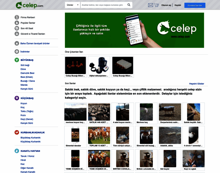 Celep.com thumbnail