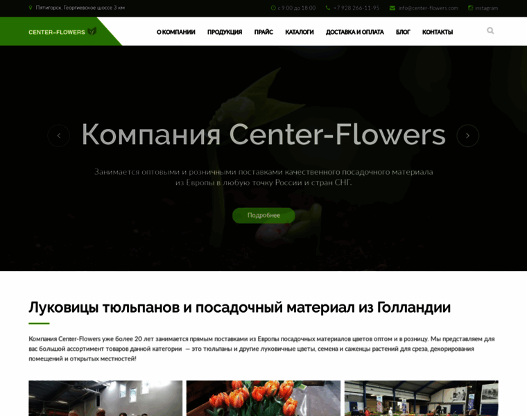 Center-flowers.com thumbnail