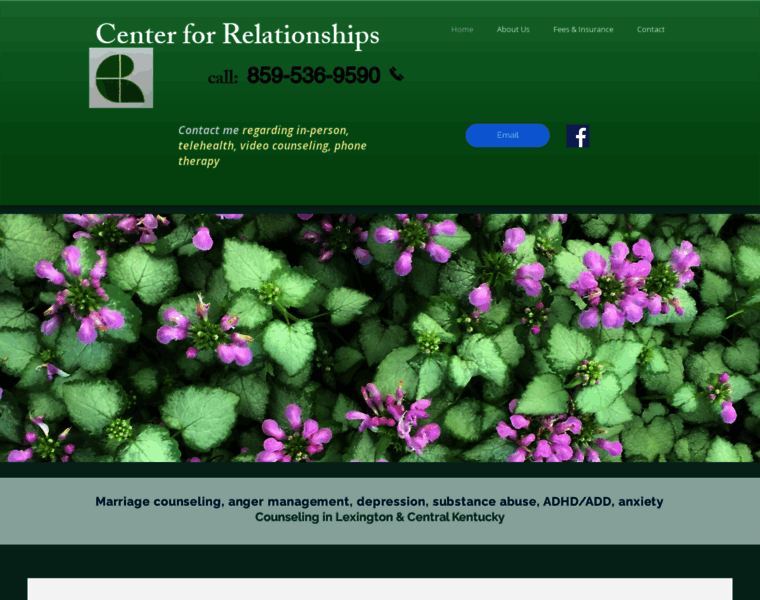 Centerforrelationships.net thumbnail
