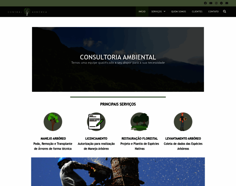Centralarborea.com.br thumbnail