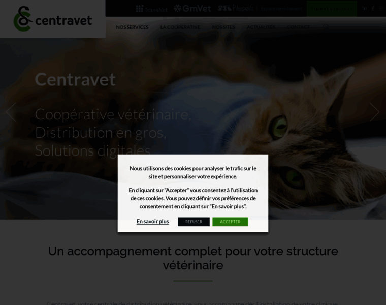 Centravet.fr thumbnail