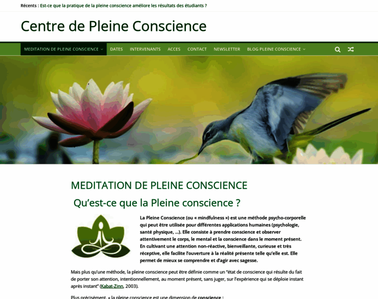 Centrepleineconscience.fr thumbnail