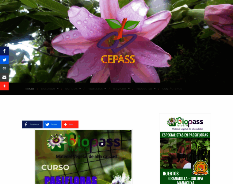 Cepass.org thumbnail