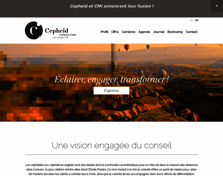 Cepheid-consulting.com thumbnail