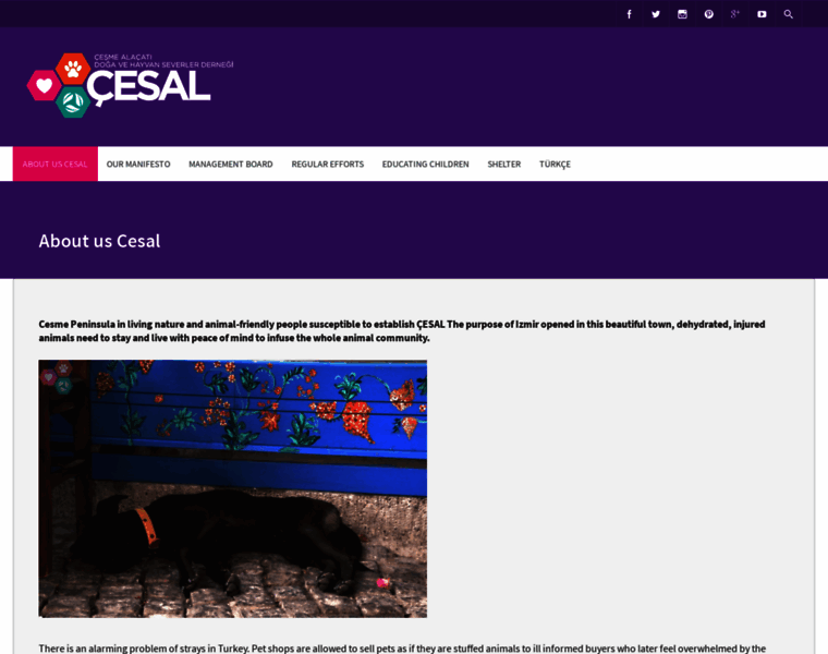 Cesal.org.tr thumbnail