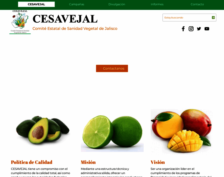 Cesavejal.org.mx thumbnail